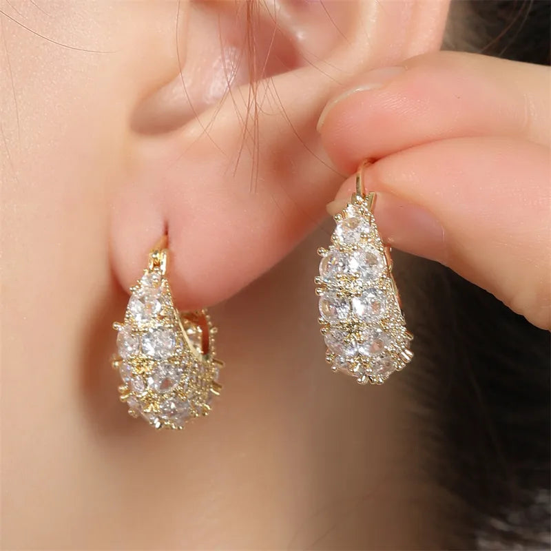 Elegant Fashionable Lightweight Luxury Earrings Versatile New Style New Model Zircon Bag Shape Personality Small Niche Ear Buckle